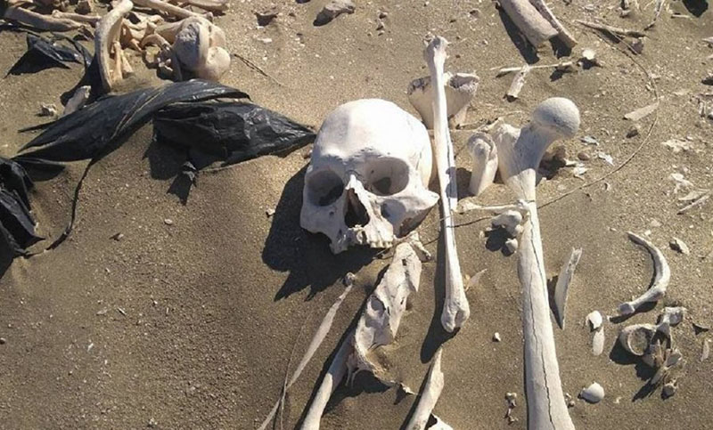 Turistas paseaban en cuatriciclo y encontraron 20 esqueletos humanos en Península Valdés