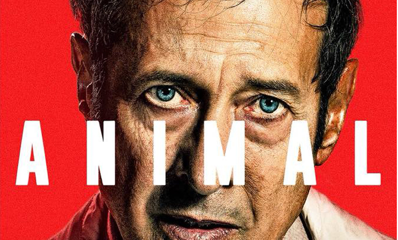 Primer trailer de «Animal» dirigida por Armando Bo