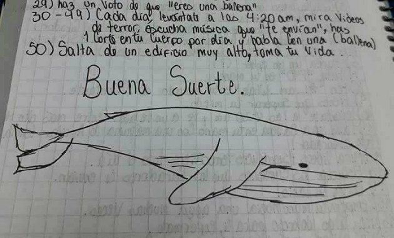 Murió un chico de 13 años en Carlos Paz e investigan si practicaba el juego de «La Ballena Azul»
