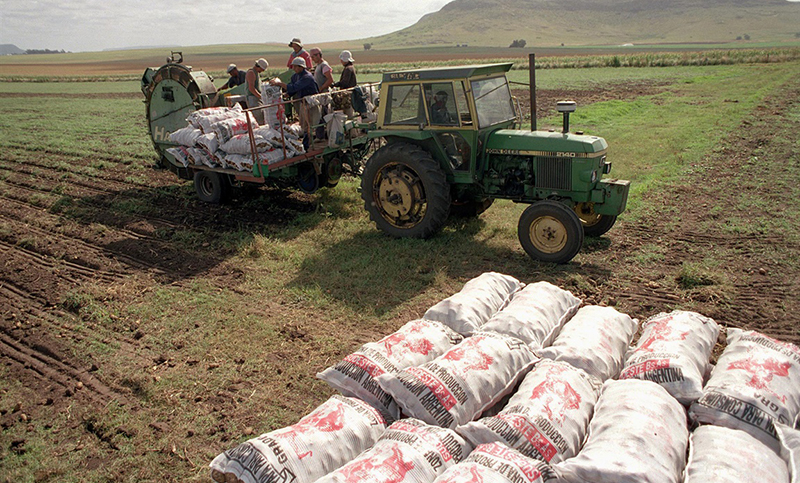 Quejas de Federación Agraria Argentina por la importación de papa de Brasil