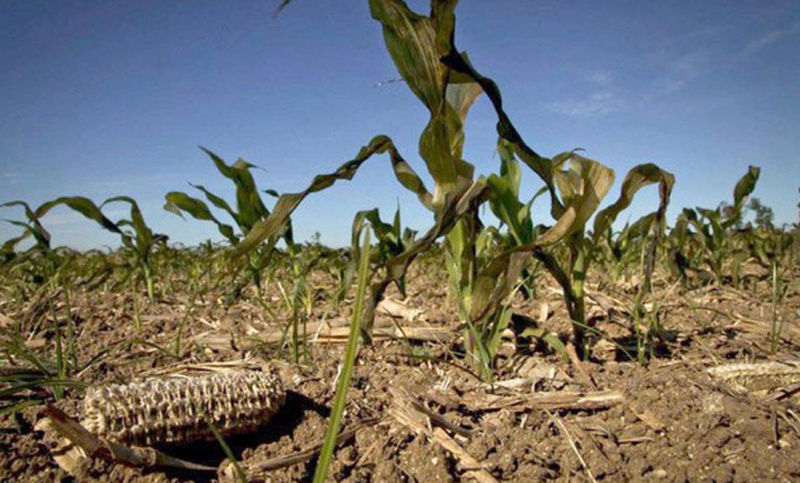 La Sociedad Rural indicó que la sequía afectará en U$S 4.400 millones las exportaciones
