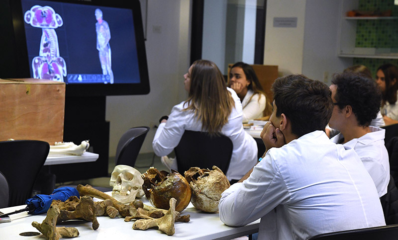 Dos universidades argentinas utilizan «mesas virtuales» para enseñar anatomía