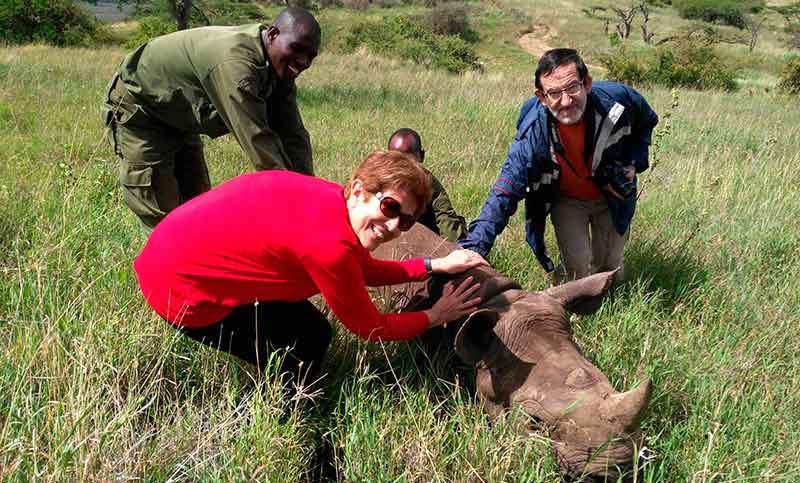Rinocerontes y elefantes de Kenia se curarán desde España