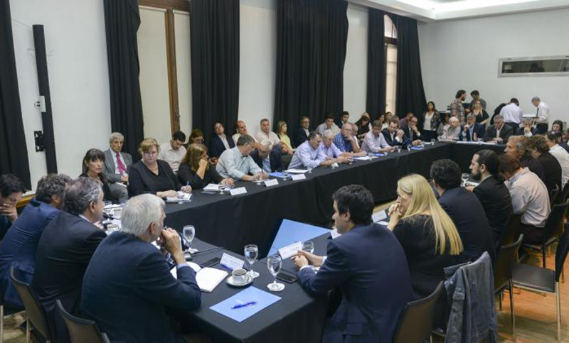 Piden restringir las importaciones de carne de cerdo por 180 días