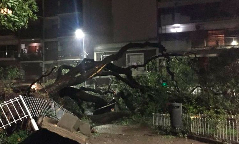 Intenso temporal de lluvia y viento causó destrozos en Buenos Aires