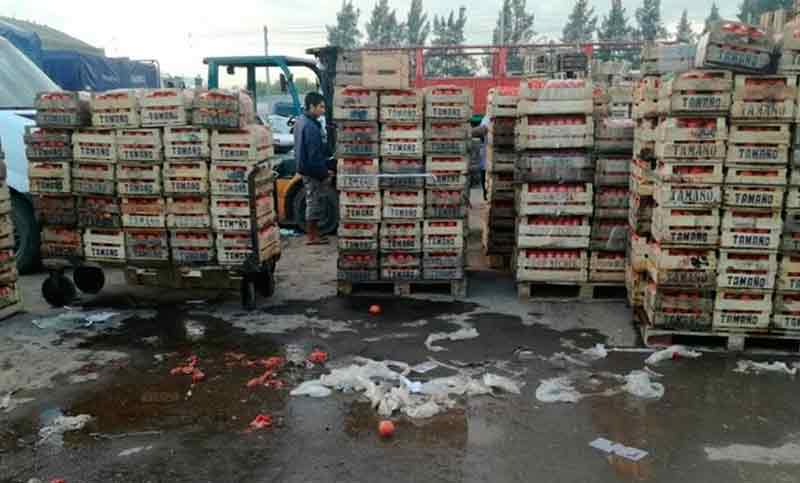Correntinos tiran el tomate porque los costos no paran de subir