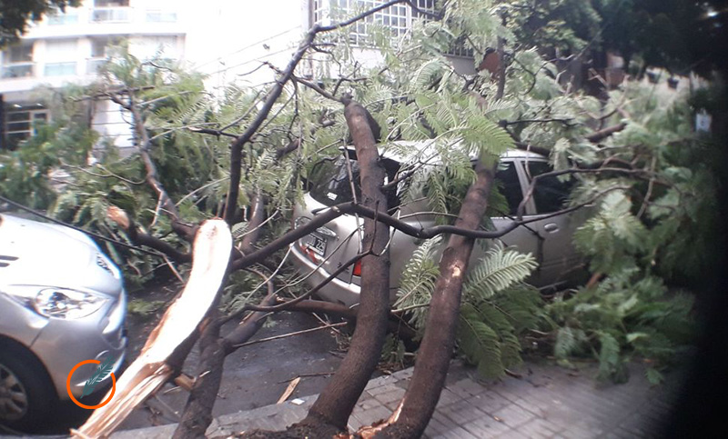 Pasó la tormenta y tumbó árboles pero el clima sigue espeso y rige el alerta