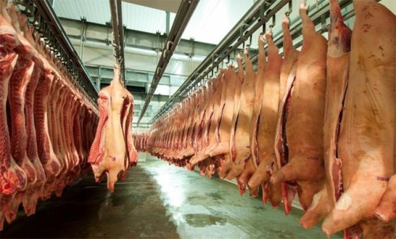 La Pampa prohibió la comercialización de carne de cerdo importada