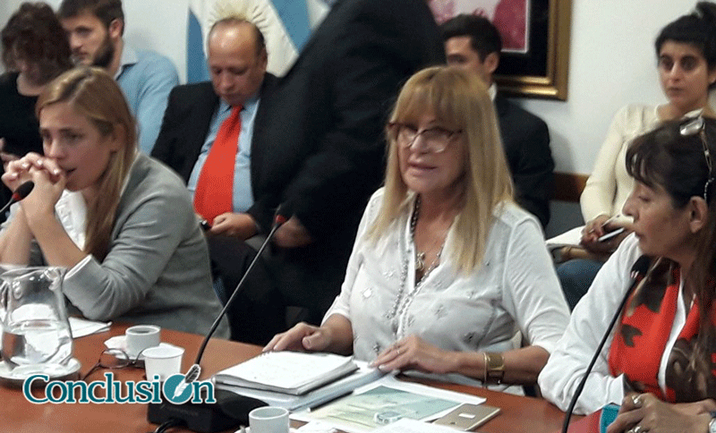En Diputados resolvieron estudiar el desafuero de la legisladora Aída Ayala