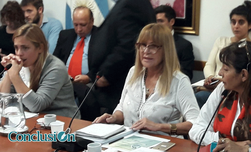Dictaron la prisión para la diputada de Cambiemos Aída Ayala