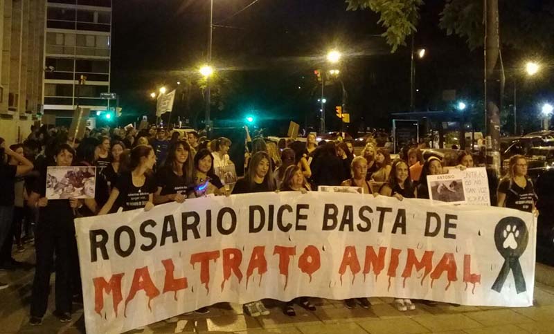 Nueva marcha de proteccionistas : «Las denuncias por maltrato animal están en aumento»