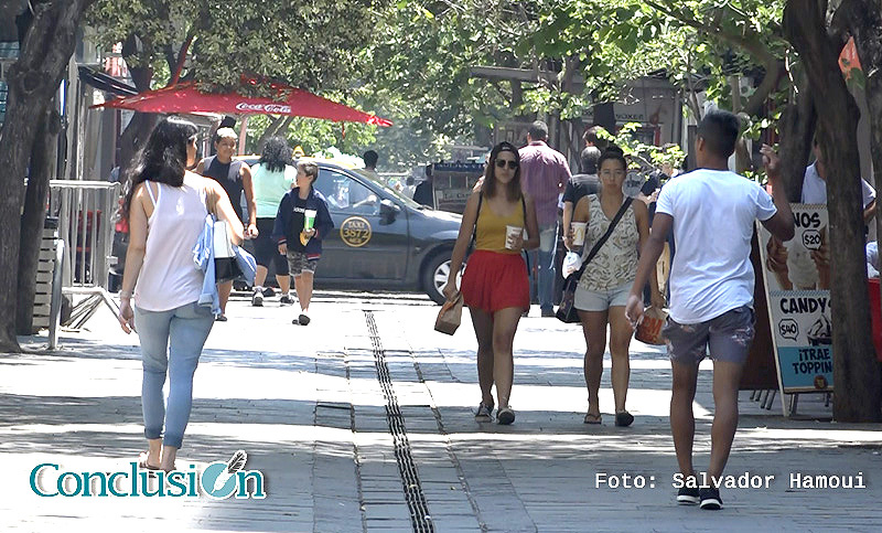 Estudian incluir canteros para reactivar una zona de la peatonal