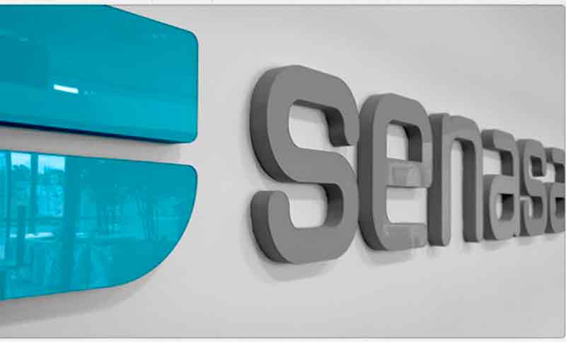 Trabajadores del Senasa debaten seguir con el plan de lucha por 213 despidos