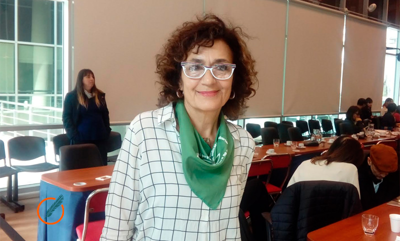 “Convertir al aborto en un crimen generó el silencio histórico de las mujeres”