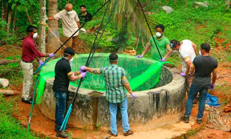 Al menos 10 muertos por el virus Nipah en India