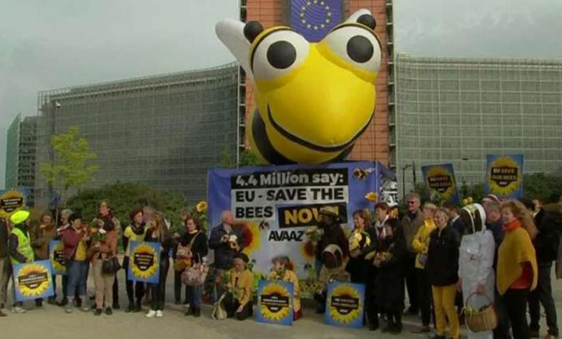 Abejas: Bayer y Syngenta, contra la decisión europea de prohibir insecticidas