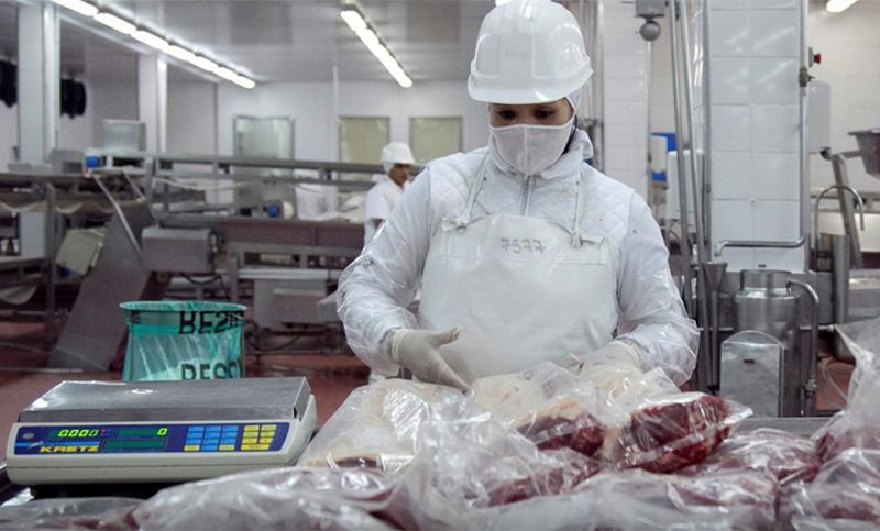Senasa: Agroindustria analizará caso por caso la situación de los 343 despedidos