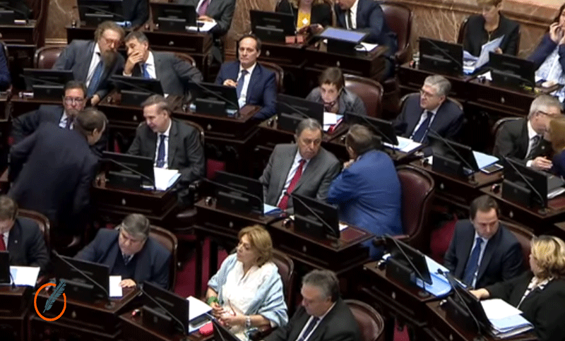 Comienza el debate sobre el aborto legal en las comisiones del Senado