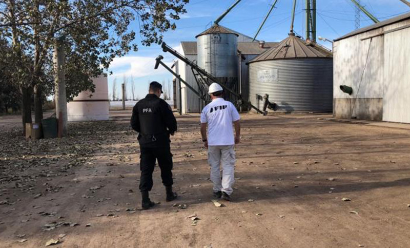 Afip decomisó casi 650 toneladas de cereales sin declarar