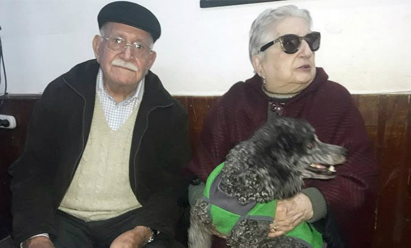 ¡Final feliz! Apareció la perrita de los abuelos que ofrecieron su jubilación para recuperarla