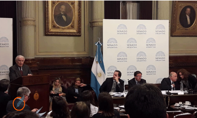 Comienzan las ponencias en el Senado sobre el proyecto de legalización del aborto