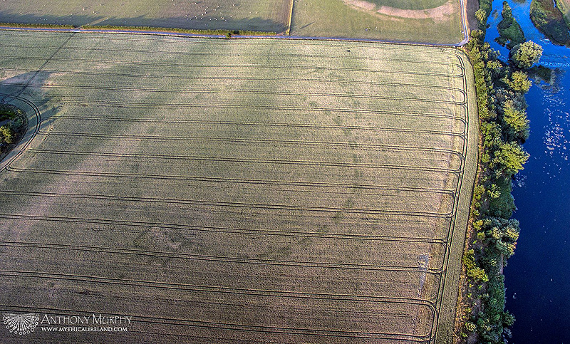Un monumento prehistórico fue descubierto en Irlanda debido a la sequía