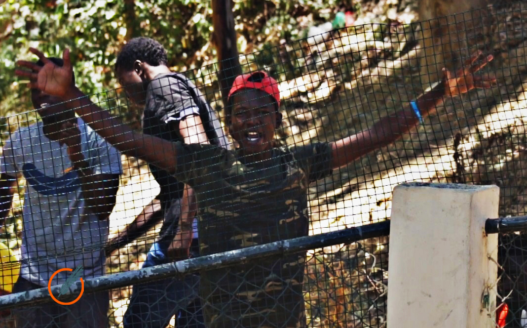 Crisis de los refugiados: más de 600 personas saltaron la valla de Ceuta