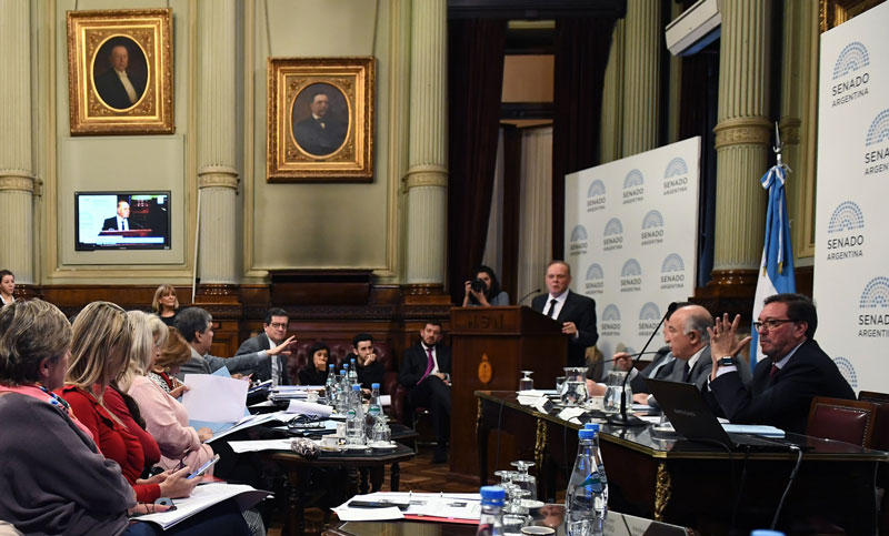 Hubo audiencias públicas por el aborto legal a pesar del receso del Congreso