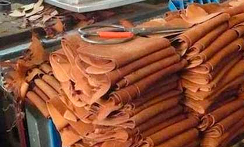 Preocupante: suman 70 las fábricas de cuero que cerraron sus puertas