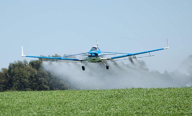 Por generar daño cerebral, Estados Unidos prohíbe al insecticida de Dow más usado en el agro argentino