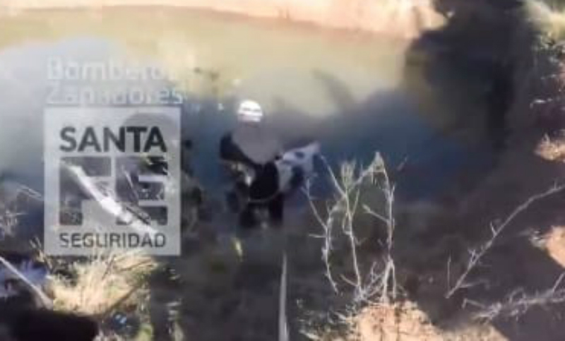 El rescate de un caballo que se cayó al agua en Fisherton