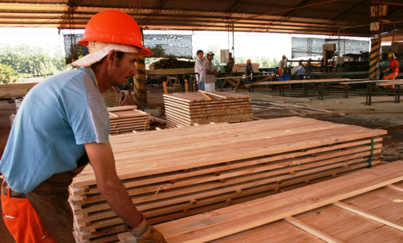 Preocupa la situación “delicada” de la industria maderera