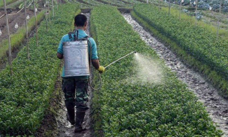 Un insecticida causó un gran número de autismos