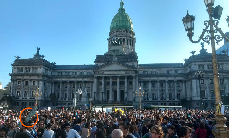 Miles de científicos protestaron frente al Congreso contra el ajuste