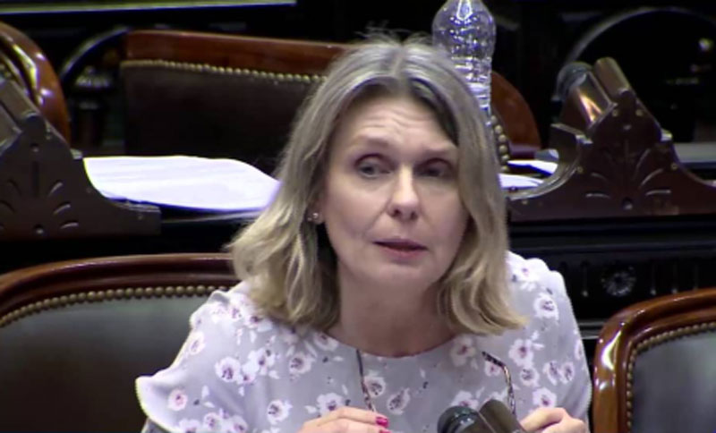 Cony Liermann de Cambiemos dijo que hay expectativas con los acuerdos con Emiratos y la India
