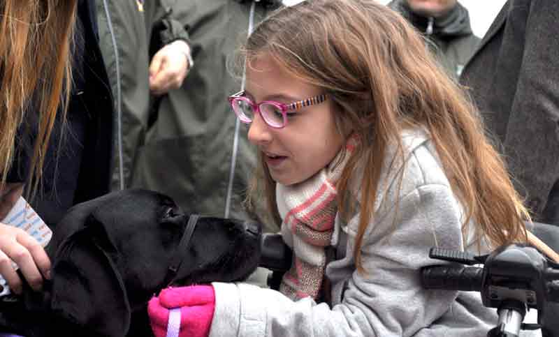 Se entregó el primer carnet de identificación a un perro de asistencia