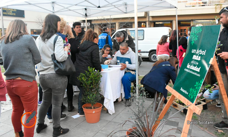 Día del Árbol: «Trabajamos para llegar a plantar un millón para 2030»