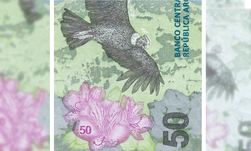 El turno del cóndor: ¿cómo es el nuevo billete de 50 pesos?