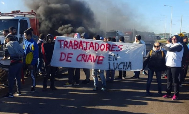 Una localidad quedó en situación grave tras el quiebre de una avícola
