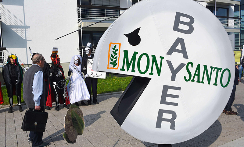Caen las acciones de Bayer tras la condena a Monsanto