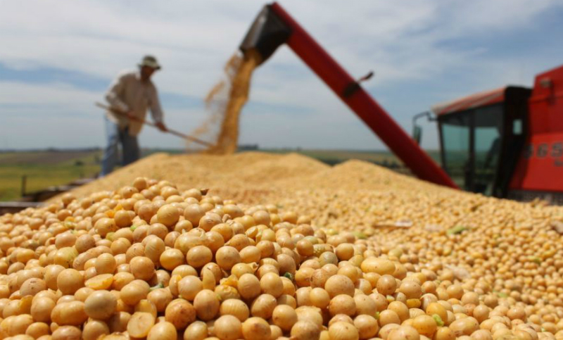 Las agroexportadoras liquidaron un 21% más dólares que el año pasado