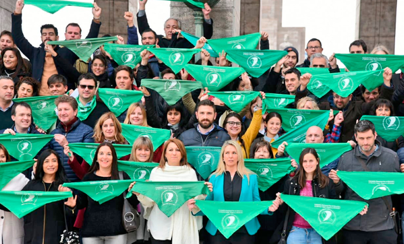 La intendenta Mónica Fein encabezó un pañuelazo a favor de la IVE