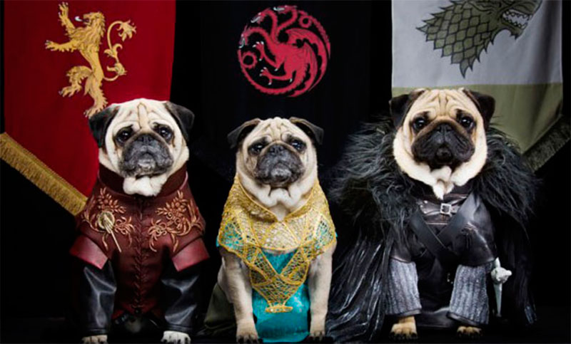 Los mejores nombres para perros inspirados en personajes históricos