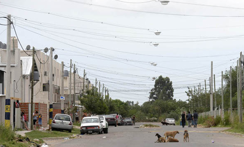 Zona Cero pasará a llamarse barrio Fontanarrosa y tendrá calles con rosarinos destacados