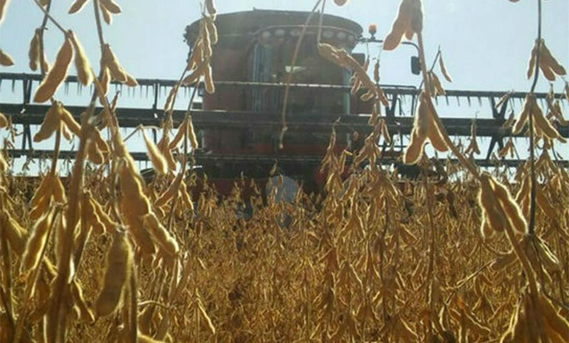La venta de tractores cayó en un 25% y la de cosechadoras un 38%