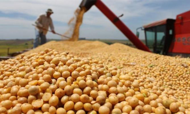Críticas del campo a las retenciones anunciadas por el Gobierno