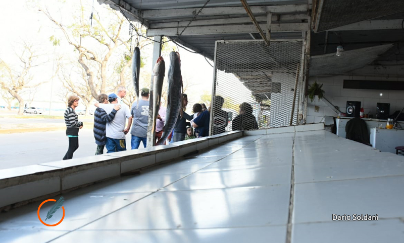 Pescadores reclaman al municipio por obras que perjudican las ventas