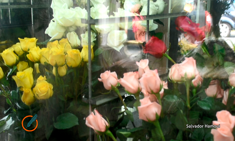 Las flores, siempre vigentes: «El negocio en el Día de la Madre nunca ha fracasado»