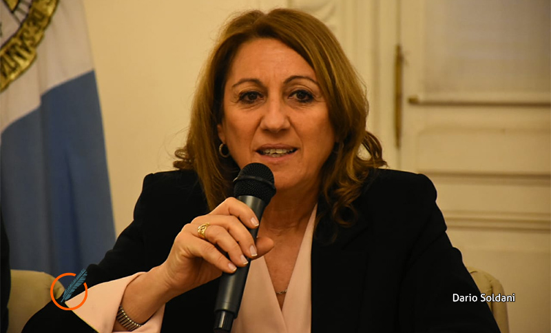 Fein, sobre el transporte: “Si se retira el subsidio, la tarifa sería impagable”