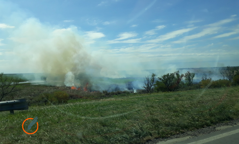 Un problema sin fin: continúa la quema de pastizales en el Delta del Río Paraná